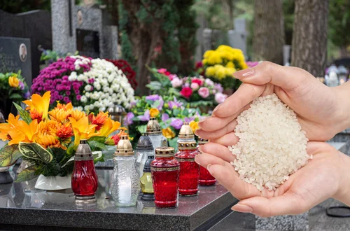 Wsyp to na dno doniczki, a kwiaty przetrwają nawet przymrozki! Babcin trik, który działa do dziś!