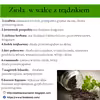 Zioła do walki z trądzikiem