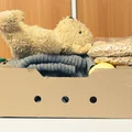 Międzynarodowy Dzień Pomocy Potrzebującym: Jak Możemy Pomóc?