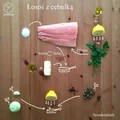 Łosoś z cebulką