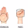 Jak w prosty sposób odmierzyć PROPORCJE POSIŁKU?