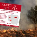 Czerwony alarm w polskich lasach! Które regiony są najbardziej zagrożone?