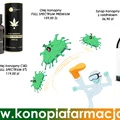 CBD w walce z COVID-19 – co mówią badania