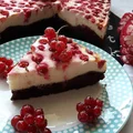 SERNIKOBROWNIE Z CZERWONYMI PORZECZKAMI