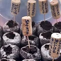 Jak zrobić tabliczki do opisu roślin - Zero waste