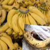 Uważaj na tego banana! Jeśli tak wygląda to może być toksyczny!