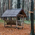 Ogólnopolski Dzień Dokarmiania Zwierzyny Leśnej: Dlaczego Jest Tak Ważny?