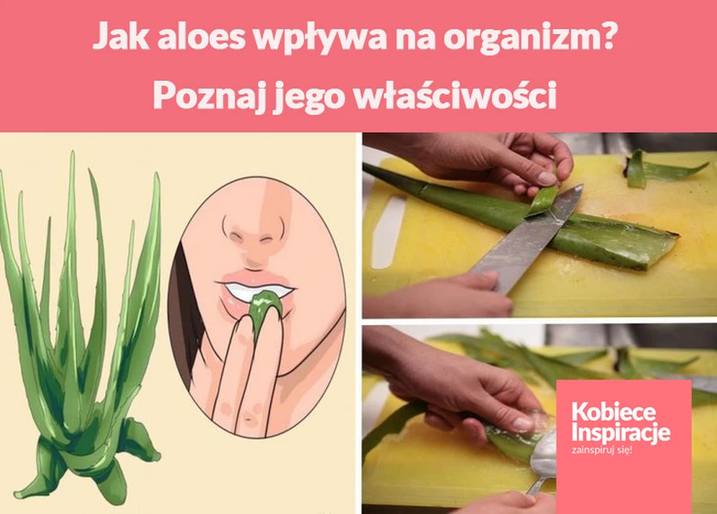 Jak aloes wpływa na organizm? Poznaj jego niezwykłe właściwości