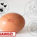 Czy wiesz jakie JAJKA spożywasz?