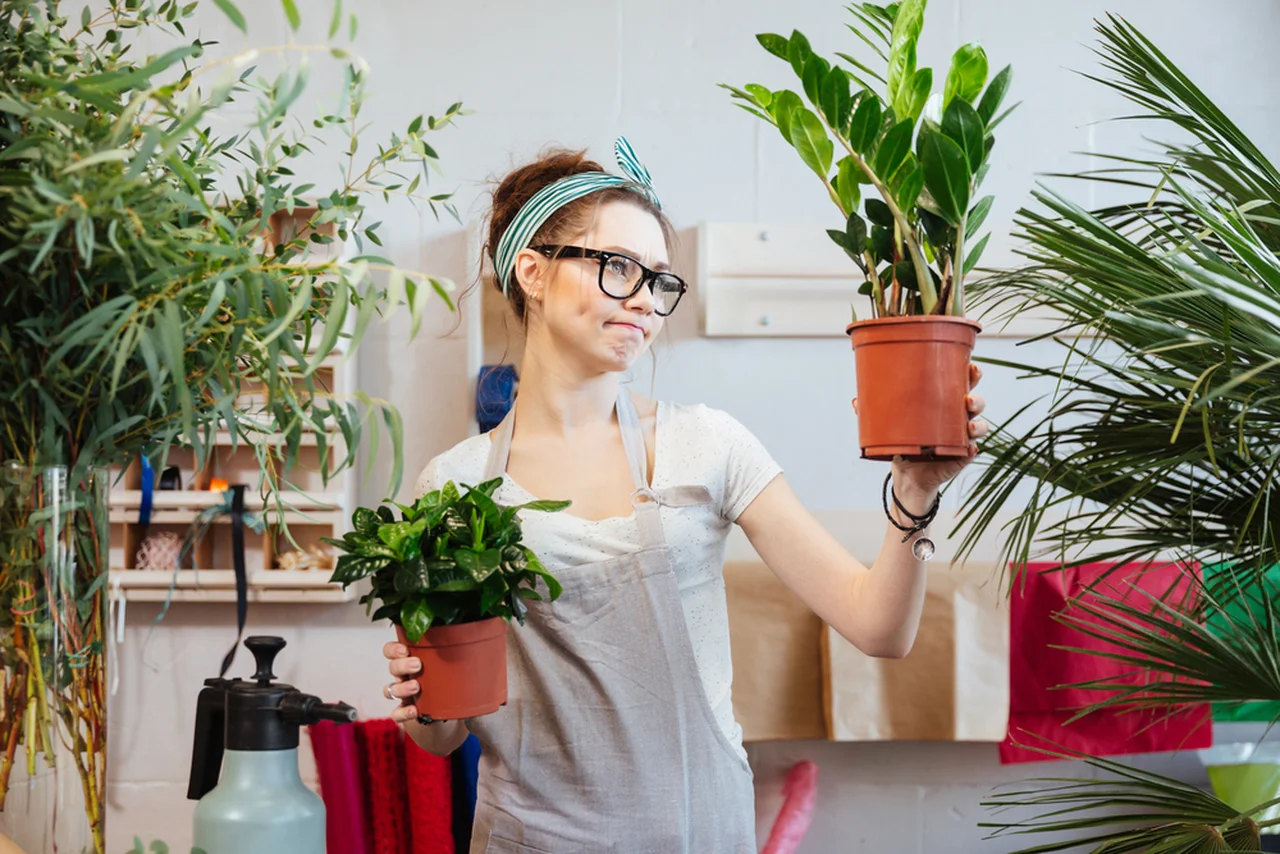 5 powodów, przez które rośliny w twoim domu nie rosną i nie kwitną prawidłowo