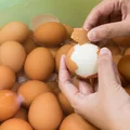Genialny trik na szybkie i sprawne OBIERANIE JAJKA!