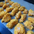 Nuggetsy