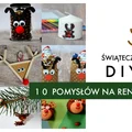 10 pomysłów na reinfera