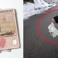 Wyrzucił papierek z samochodu i stracił prawo jazdy. Pech, czy głupota?