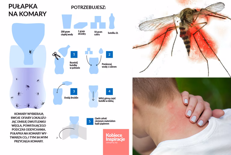 Pułapka na komary! Zrób to sama. To działa.