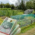 Dotacje dla działkowców nawet do 100 tysięcy złotych!