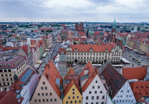 Inwazja szkodników we Wrocławiu! Trzeba uważać na żywność i chronić skórę!