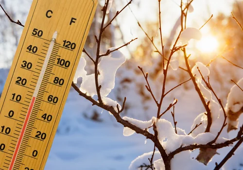 Takich temperatur w 2026 jeszcze nie było! Nawet 15°C w prognozach!
