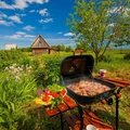 Grill w letnim ogrodzie
