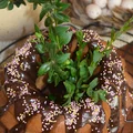 Babka krówkowa