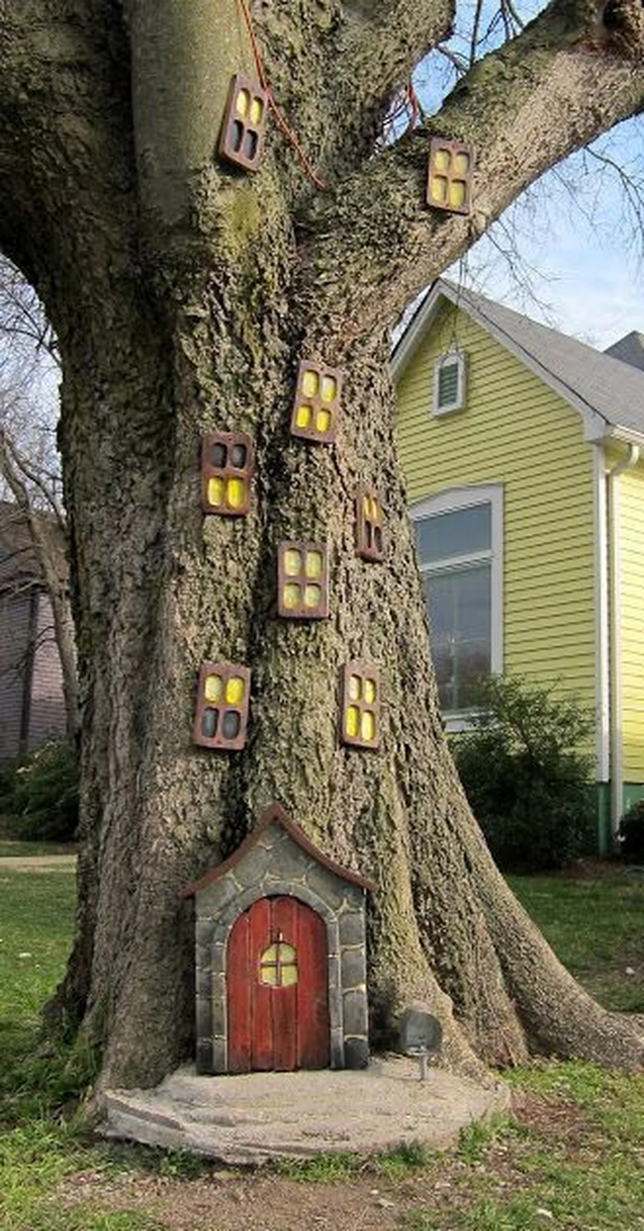 Dekoracja drzewa