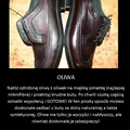 Czyste buty bez wysiłku