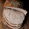 Pieczona szynka