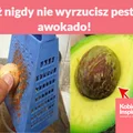 Już nigdy nie wyrzucisz pestki awokado!