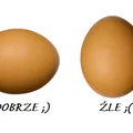 Jak sprawdzić świeżość jajka