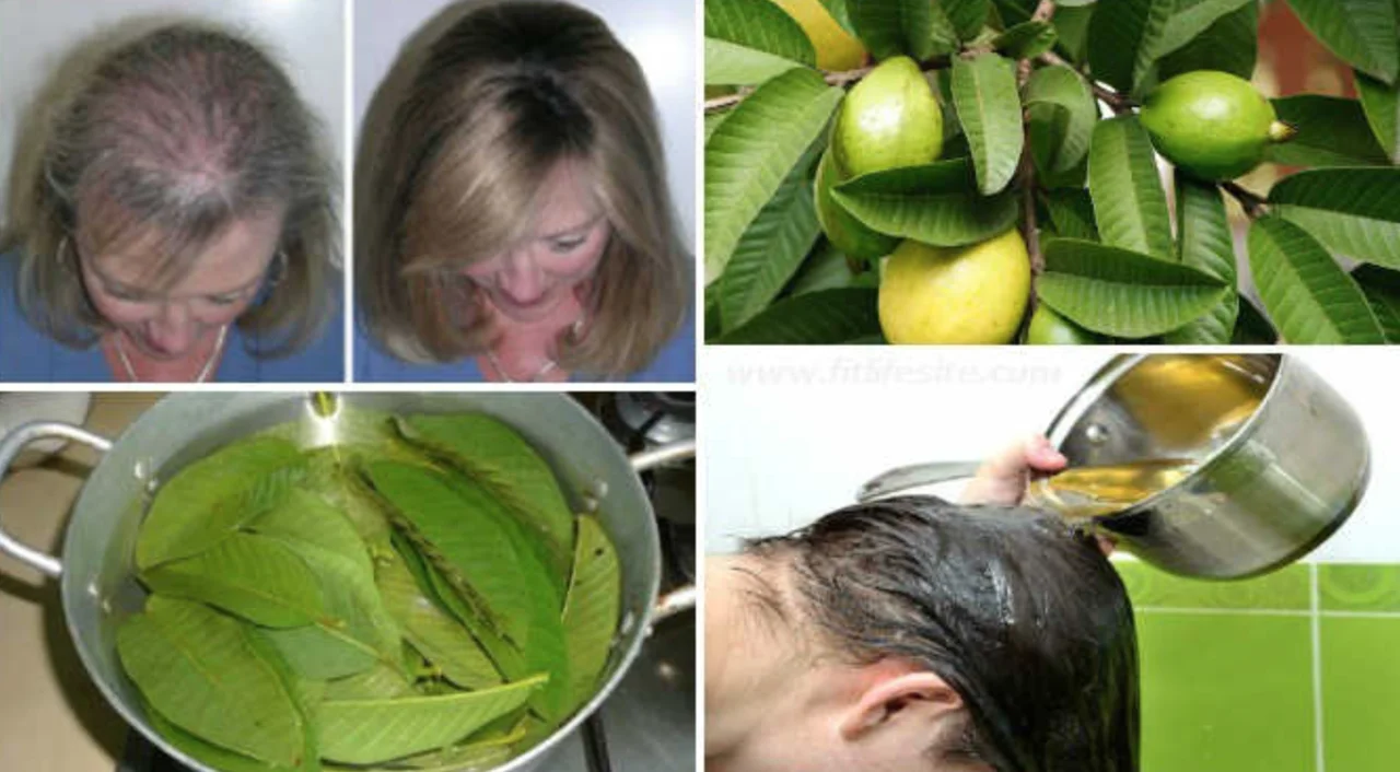 Gujawa - niezwykła roślina hamująca wypadanie włosów i odchudza!
