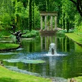 Zielony ogród + piękna fontanna