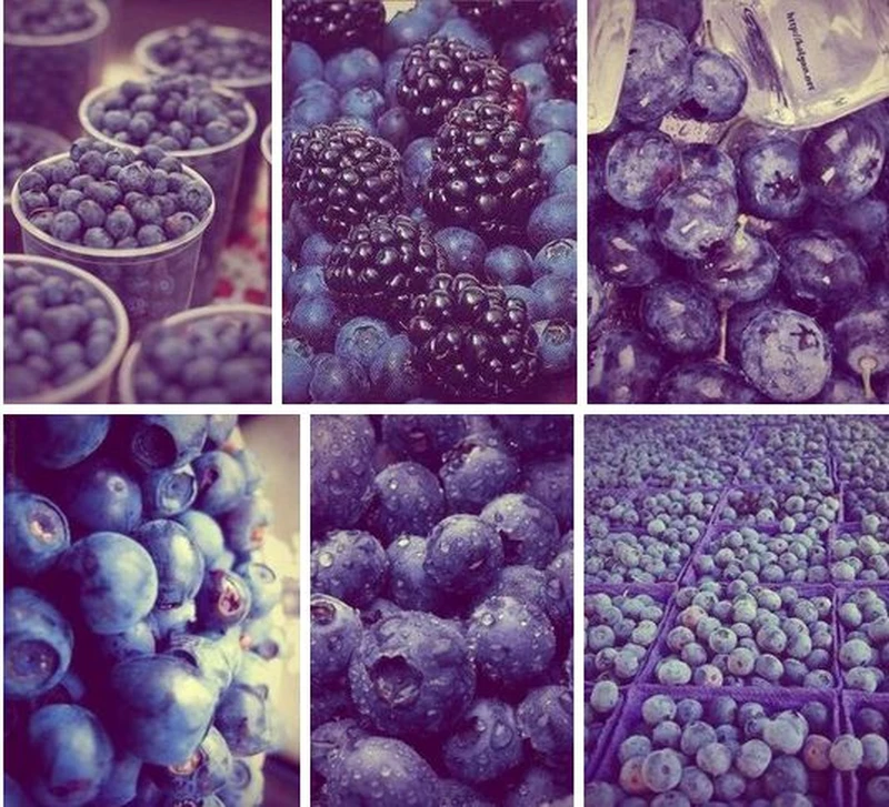Borówki <3