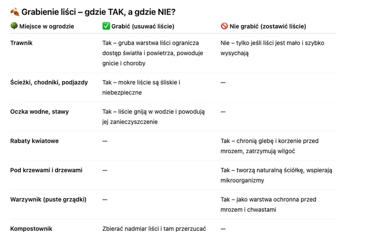 Zdjęcie Dlaczego nie powinno się grabić liści na jesień? Oto, gdzie warto je zostawić #1