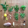 Pierś z kurczaka w ziołach