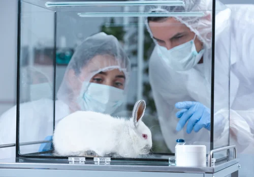 Światowy Dzień Zwierząt Laboratoryjnych – Dzień Refleksji nad Losami Zwierząt w Nauce