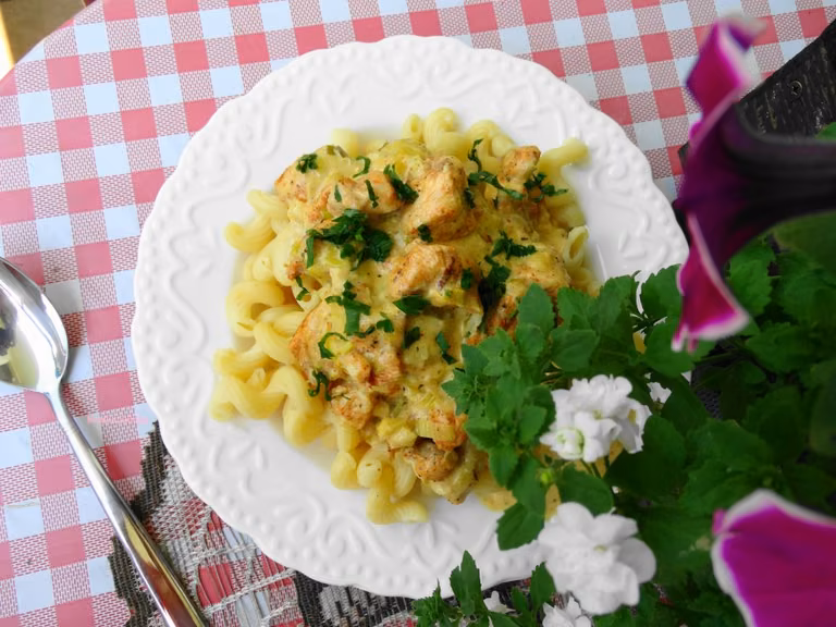 Makaron z kurczakiem w sosie porowo – śmietanowym.
