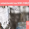 Jakie właściwości ma SOK Z BRZOZY?
