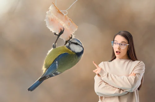 Słonina nie zawsze pomaga! Kiedy szkodzi ptakom bardziej niż pomaga?