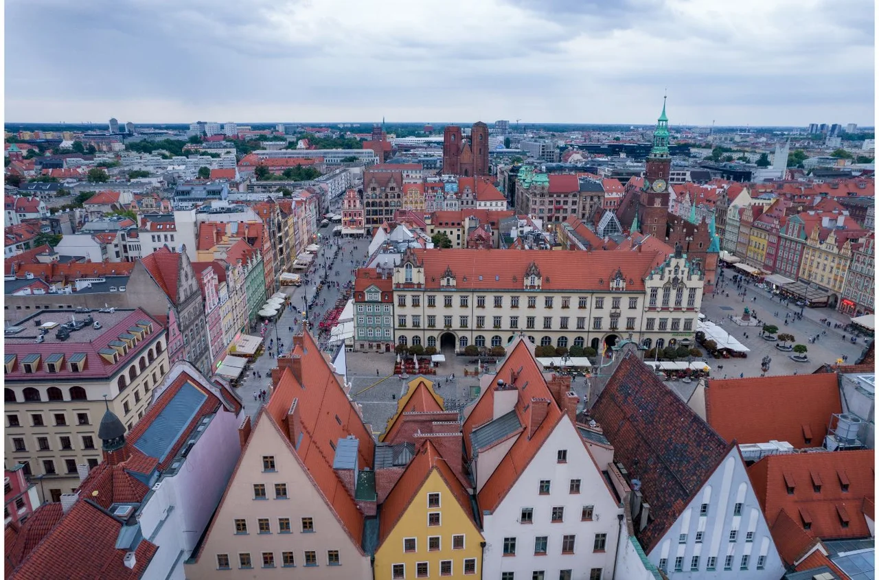 Inwazja szkodników we Wrocławiu! Trzeba uważać na żywność i chronić skórę!