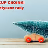 Chcesz kupić ŻYWĄ CHOINKĘ? Wybierz mądrze.