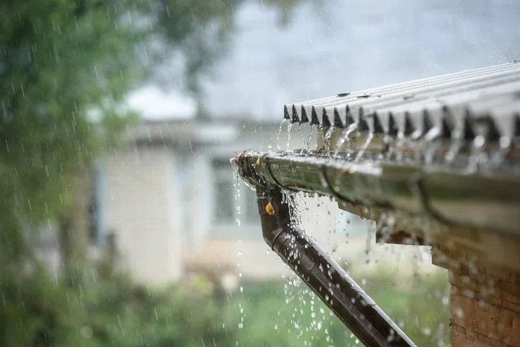 Zdjęcie Podatek od deszczu. Rząd szykuje zmiany, które obciążą więcej portfeli #1