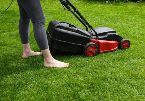 Mandat za koszenie trawy na własnej działce? W tym przypadku może obowiązywać zakaz