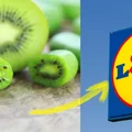 SUPERFOOD dostępny w Lidlu! Możesz go jeść bez obierania go ze skórki! Hodowany w Polsce!