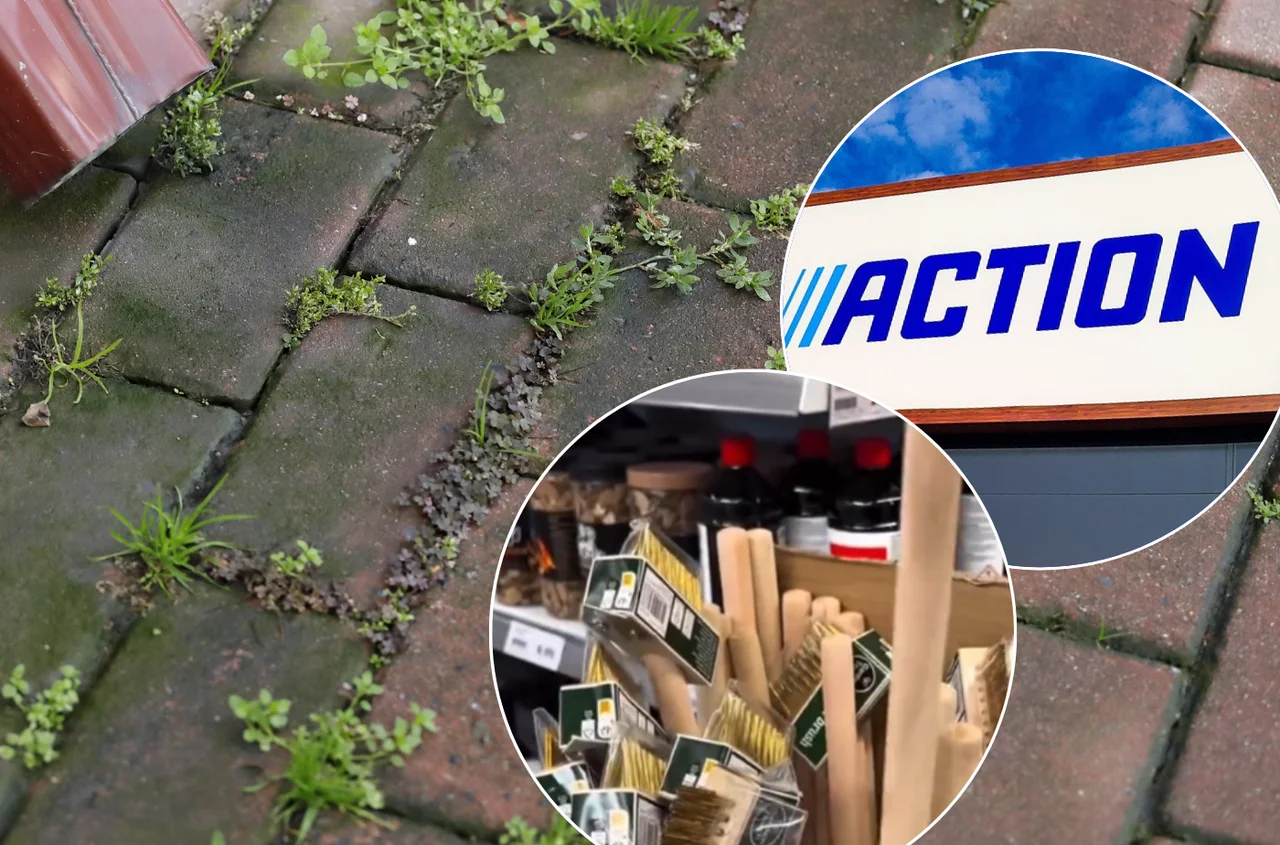 Szczotka "Zbawiciel" z Action za 11 złotych! Wiralowy gadżet do usuwania chwastów robi robotę bez brudzenia rąk