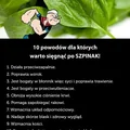 10 powodów dla których warto sięgnąć po SZPINAK!