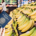 Nie kupisz już banana bez tej informacji! UE wprowadza ważną zmianę na rynku owoców!