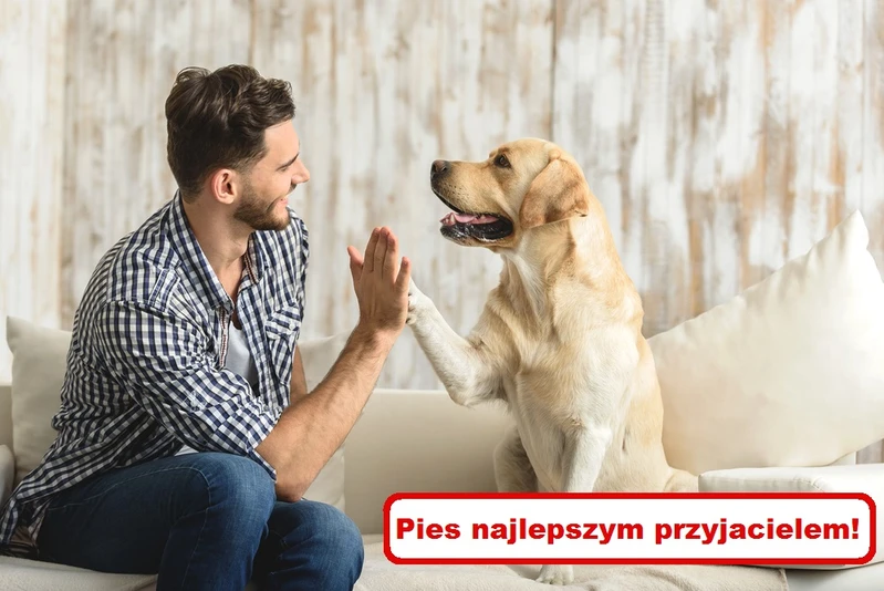 Dlaczego warto mieć PSA?