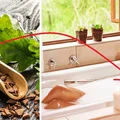 Jak uzyskać delikatną, naturalna opaleniznę? Poznaj barwiącą kąpiel