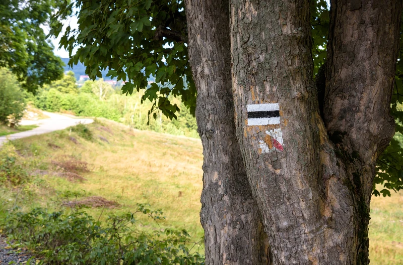 Dlaczego niektóre szlaki są czerwone, a inne żółte? Sprawdź, zanim ruszysz w trasę!
