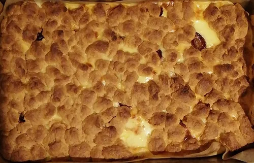 Budyniowiec na kruchym cieście ze śliwkami
